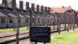 Pytania do Dyrektora Państwowego Muzeum Auschwitz-Birkenau