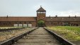 Ultimatum dla dyrektora muzeum obozu Auschwitz-Birkenau
